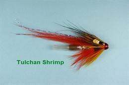 Tulchan Shrimp JC